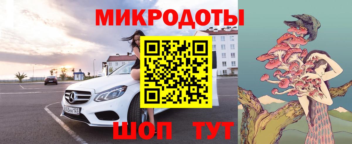 Псилоцибиновые грибы Psilocybine cubensis Кизляр